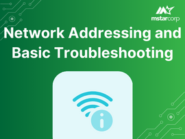 Network Addressing and Basic Troubleshooting