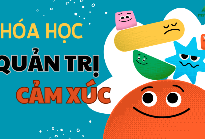Khóa học Quản trị cảm xúc